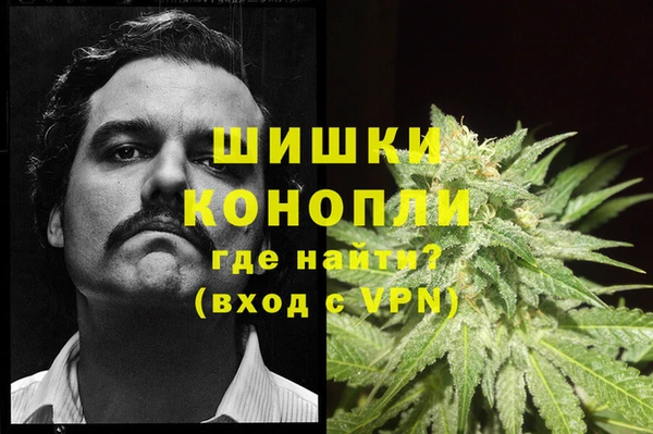 прущая мука Бородино