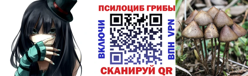 наркошоп  Арзамас  Галлюциногенные грибы мухоморы 
