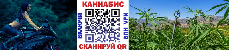 Марихуана THC 21%  hydra ONION  Арзамас  купить закладку 